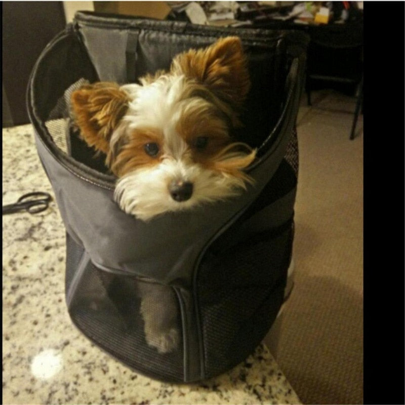 Mochila para transportar seu pet