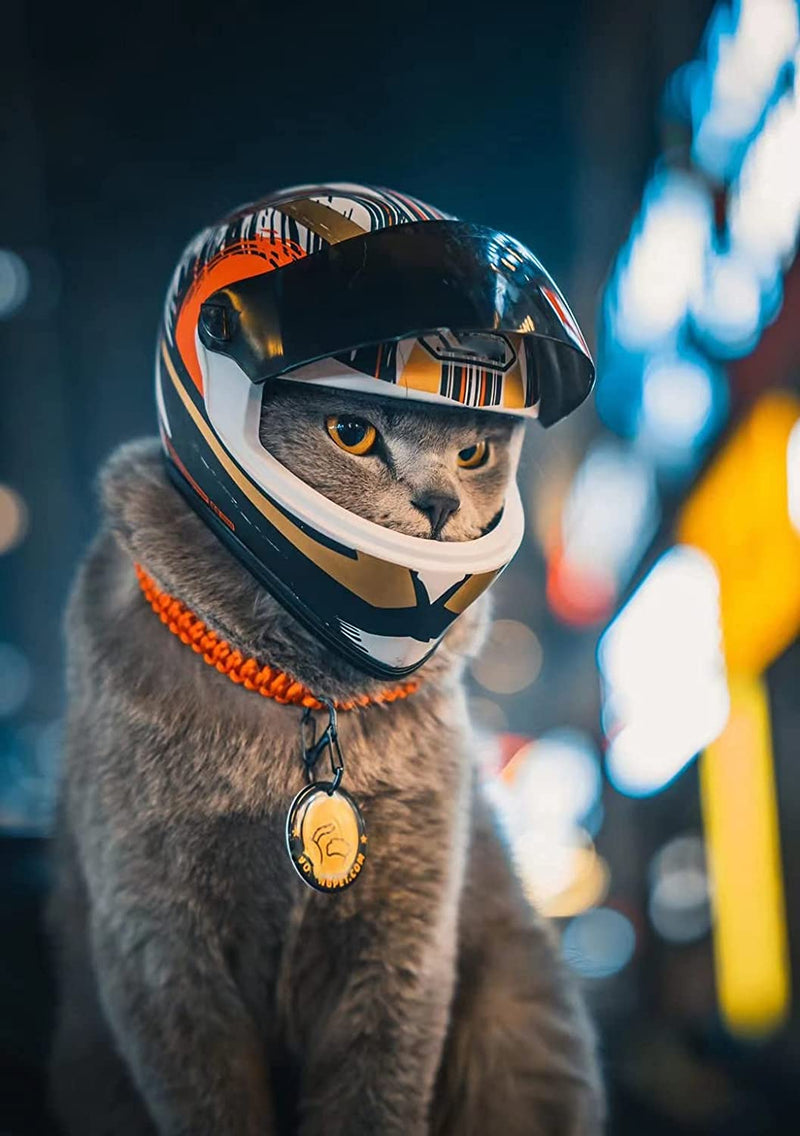 Capacete para pets