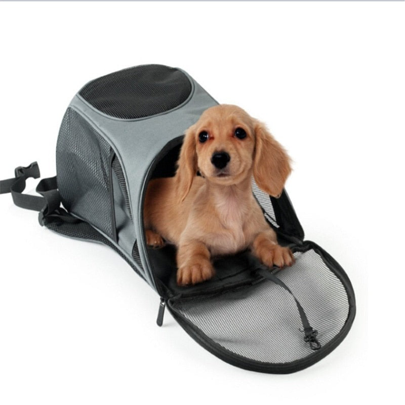 Mochila para transportar seu pet